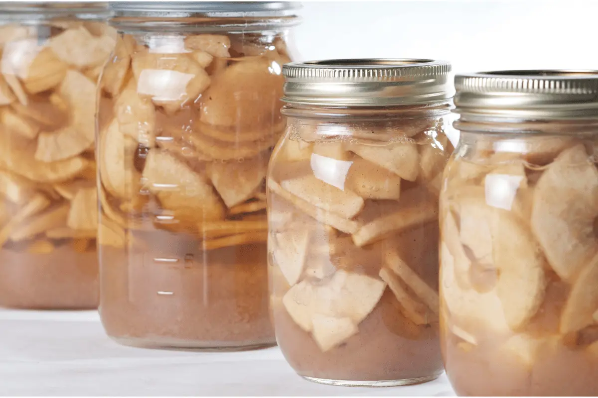 Apple Pie with Canned Filling